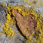 Day 8: Kiandra to Happy’s Hut 5/12/19