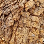 Day 16: Dead Horse Gap to Tin Mines Hut 13/12/19