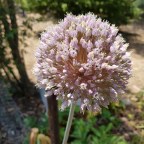 Day 28: Christmas Day and a rest 25/12/19