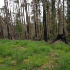 Day 31: Mt Victor to Thomson River Campsite 28/12/19