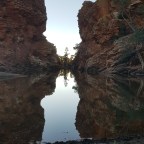 Day 10: Serpentine Gorge to Ellery Creek 15/08/2020