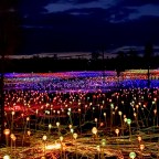 Day 2: Side Adventure Part 1 07/08/2020