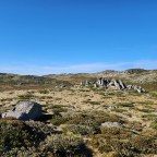Day 10: Whites River Hut to Dead Horse Gap 36.6kms, 12 hours 15 mins, 58k steps, 1,428m ascent, 0 snakes, 0 through hikers