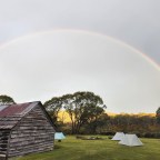 Day 13: Dead Horse Gap to Tin Mine Huts 26.5kms, 9 hours, 39k steps, 702m ascent, 0 snakes, 1 deer, 1 hare bathing itself, 4 through hikers