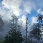 Day 20: Rest Day Omeo to Big River Saddle