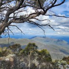 Day 27: Van Damme Track to Mt Speculation 22kms, 11 hours, 34k steps, 1696m ascent, 0 snakes, 5 hikers