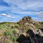 Day 28: Mt Speculation to Chesters Yard 25.7kms, 12 hours, 1593m ascent, 42k steps, 0 snakes, 0 through hikers